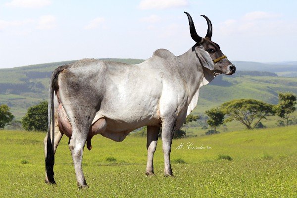 679b387a.Imagem.011202