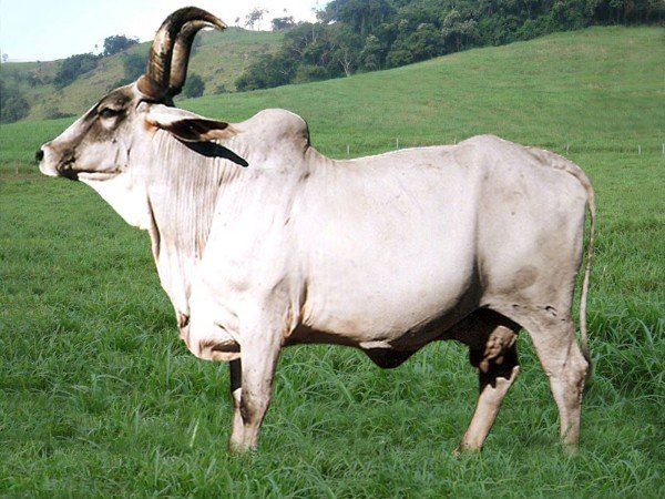 b5c1843c.Imagem.211522