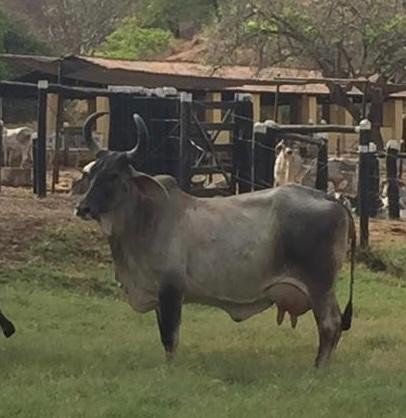 c3e5047e.Imagem.000250